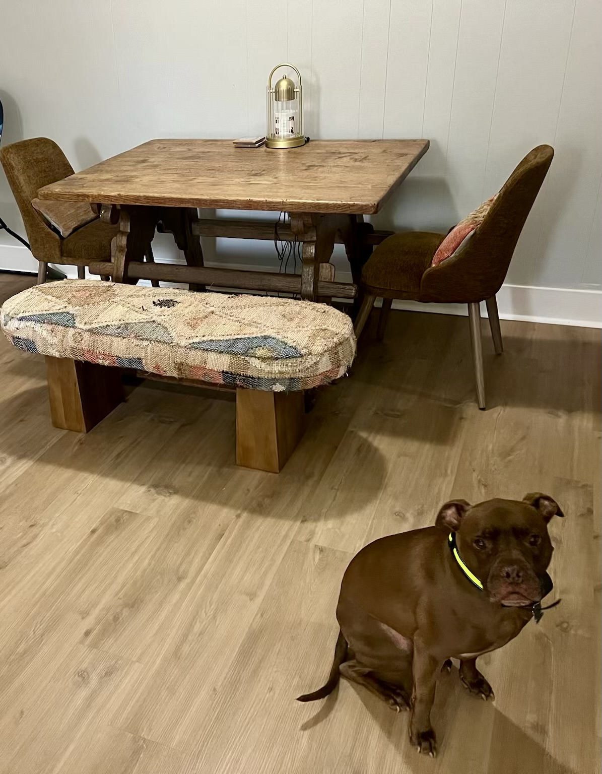 For the Love of Dogs & Homes LLC - Metro Detroit House Cleaning & Pet Care — photo