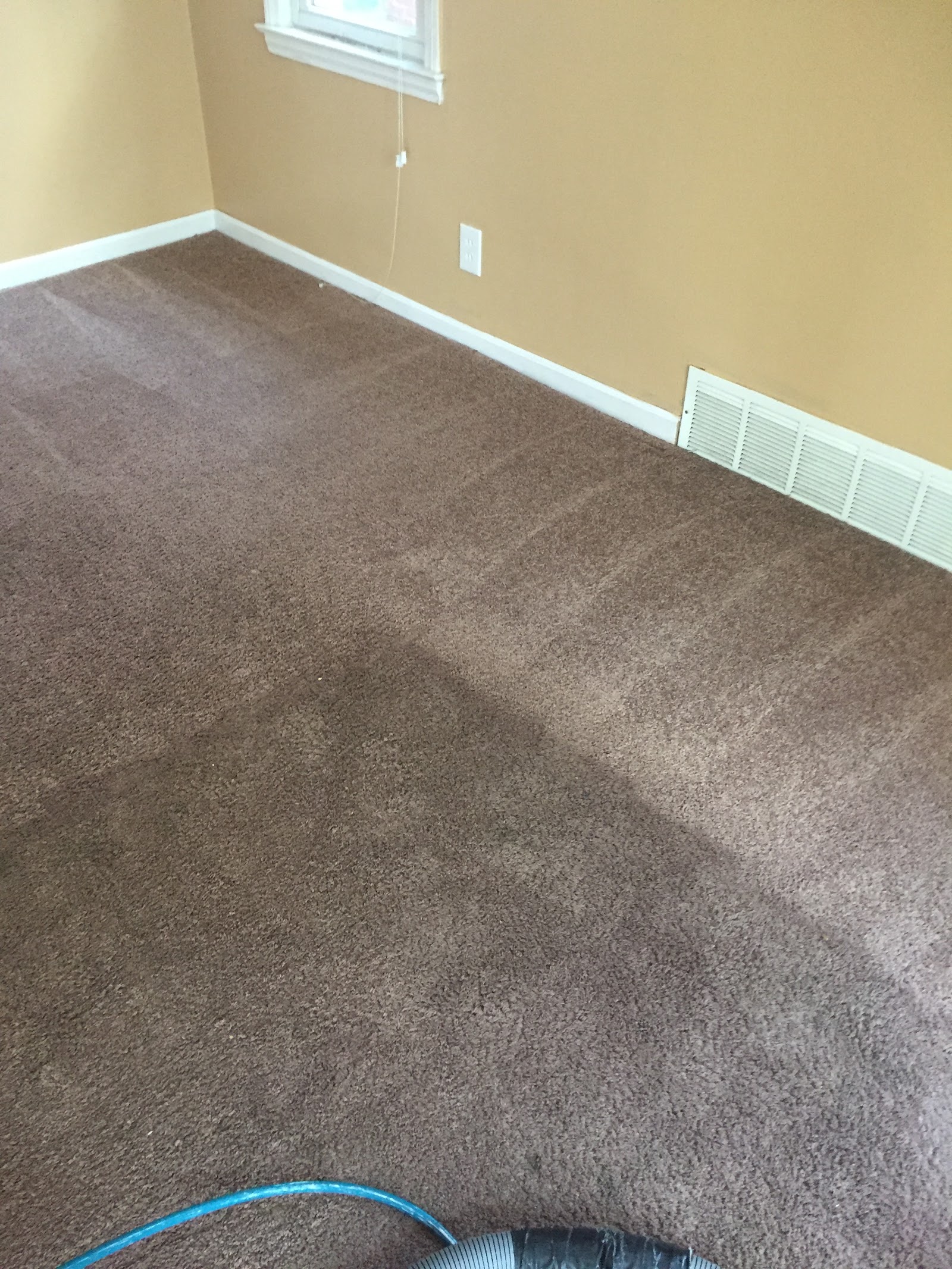 Douglas Steam Carpet - Carpet Cleaning Service | Upholstery Steam Cleaning in Dearborn, MI — photo