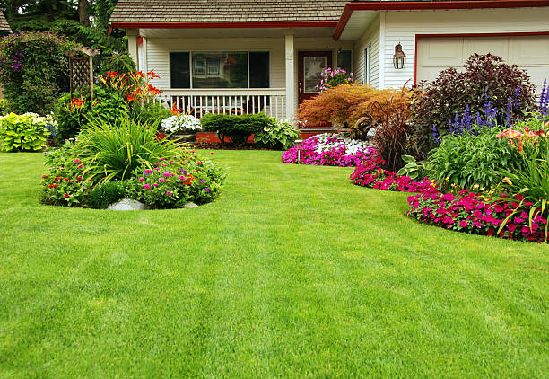 Green Phoenix Landscaping — photo