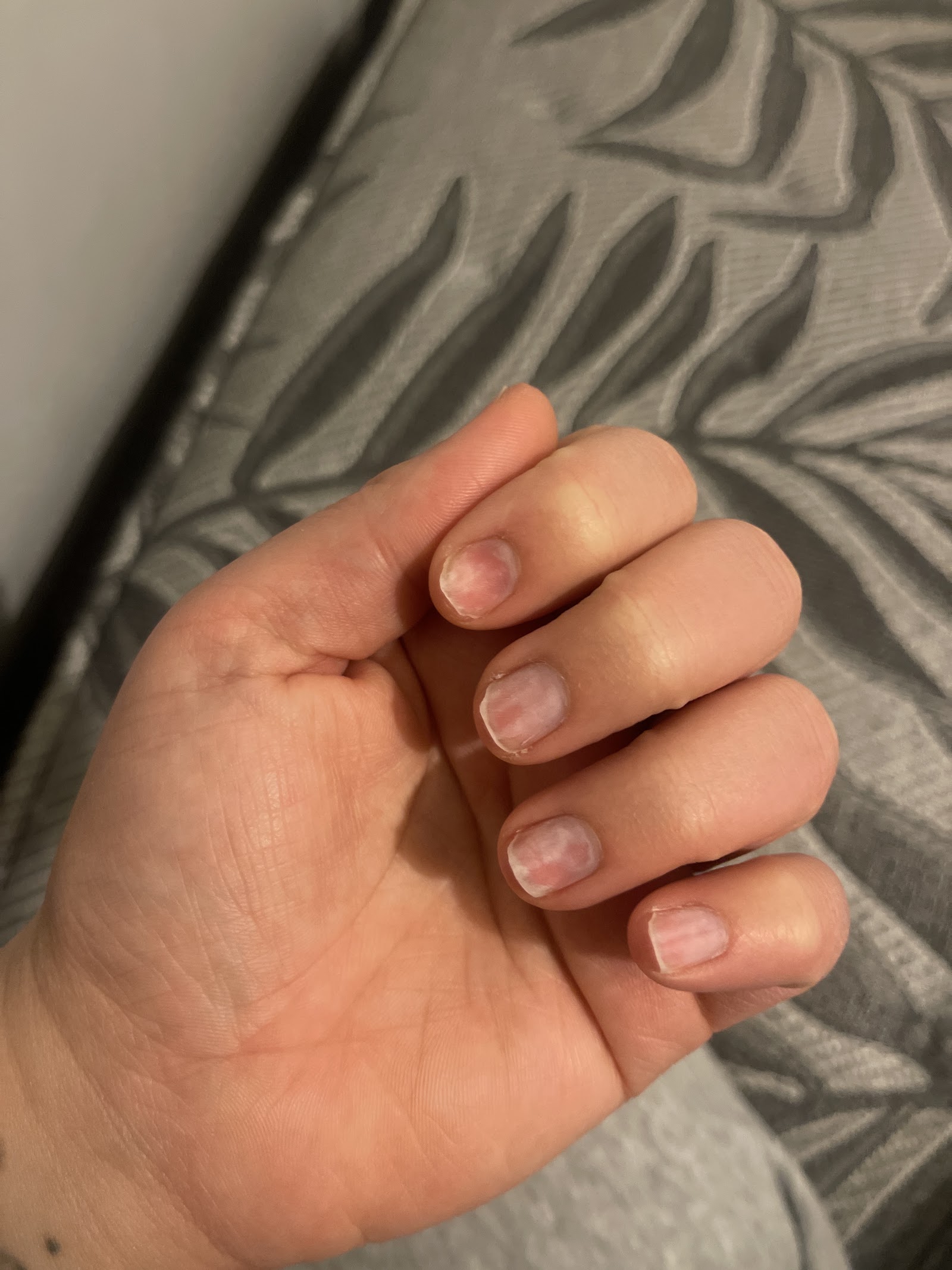 Hollywood Spa & Nails — photo