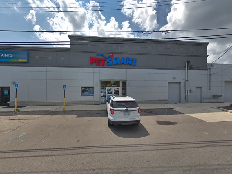 PetSmart Grooming — photo